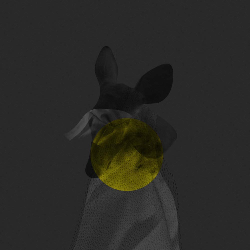 Balekane Legoabe - A Symbol for Decline